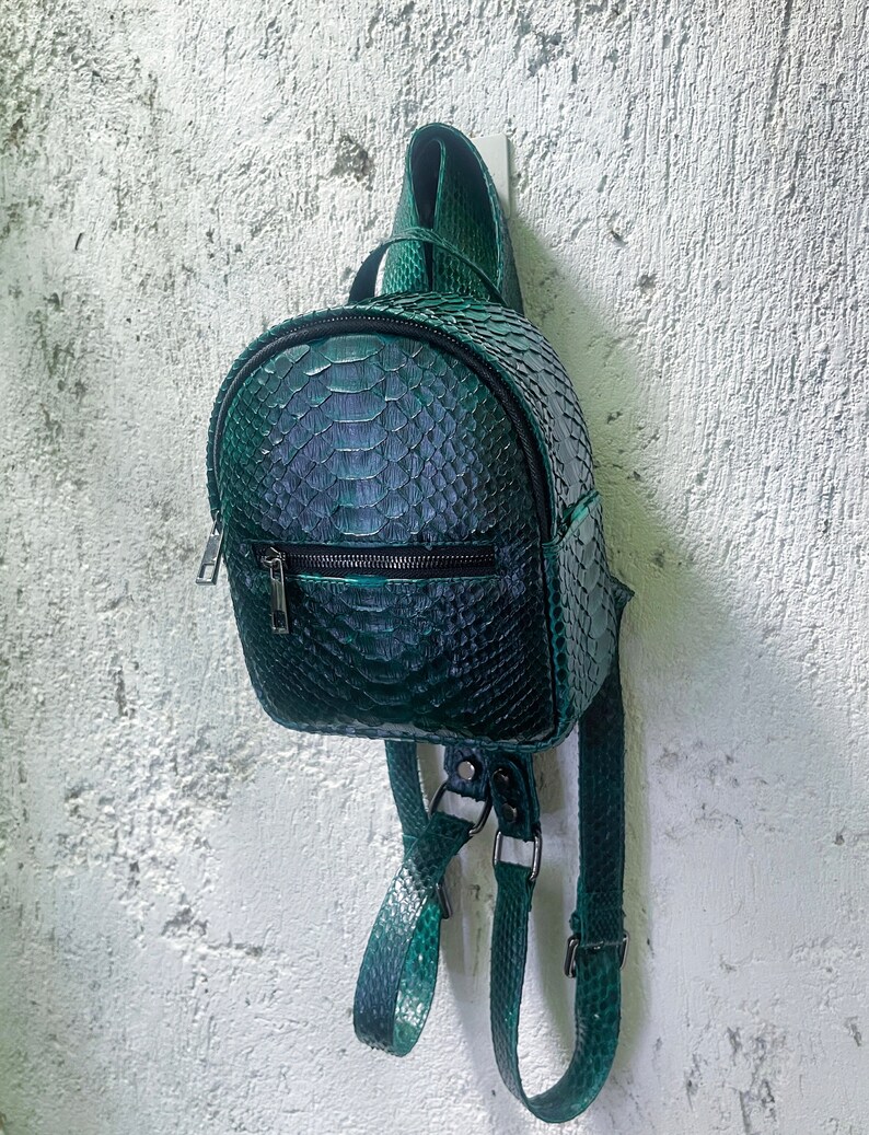 Peut inclure: Un petit sac &agrave; dos en cuir de serpent vert avec des bretelles r&eacute;glables. Le sac &agrave; dos a une poche zipp&eacute;e &agrave; l'avant et une fermeture &eacute;clair sur le dessus.