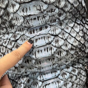 May include: Close-up of a light blue snakeskin texture with a dark grey pattern. The skin is smooth and shiny.