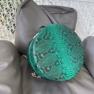 May include: A green snakeskin round crossbody bag with a gold chain strap.