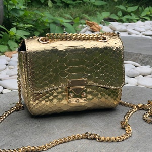 Cartera de piel de serpiente dorada, Bolso bandolera de piel de pitón plateada, Bolso de piel de serpiente rosa, Cartera sobre de noche de pitón verde