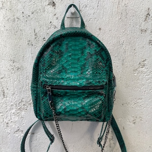 May include: A small green snakeskin backpack with a silver chain strap. The backpack has a zipper closure and a small pocket on the front.