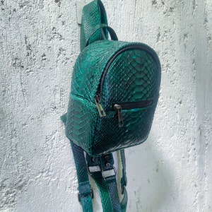 Peut inclure: Un petit sac &agrave; dos en cuir de serpent vert avec des bretelles r&eacute;glables. Le sac &agrave; dos a une fermeture &eacute;clair et une forme ronde.