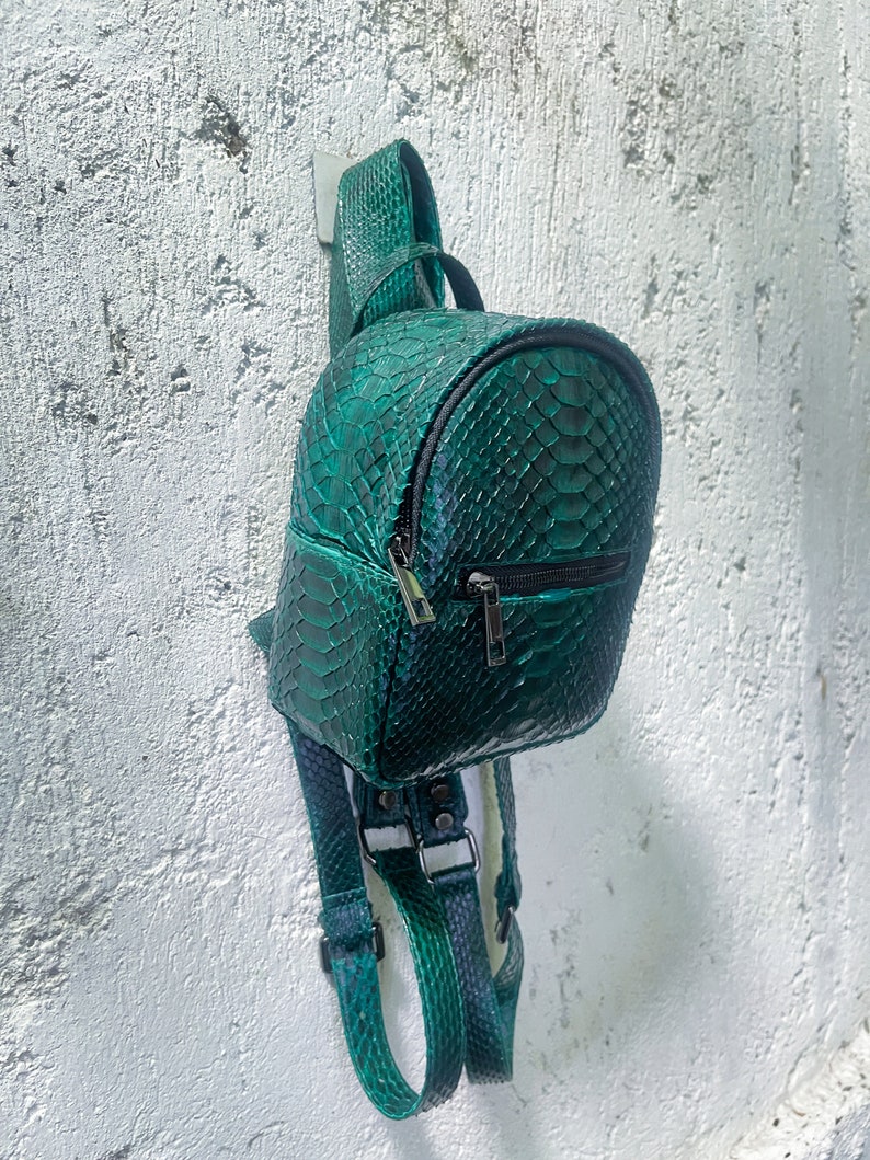Peut inclure: Un petit sac &agrave; dos en cuir de serpent vert avec des bretelles r&eacute;glables. Le sac &agrave; dos a une fermeture &eacute;clair et une forme ronde.