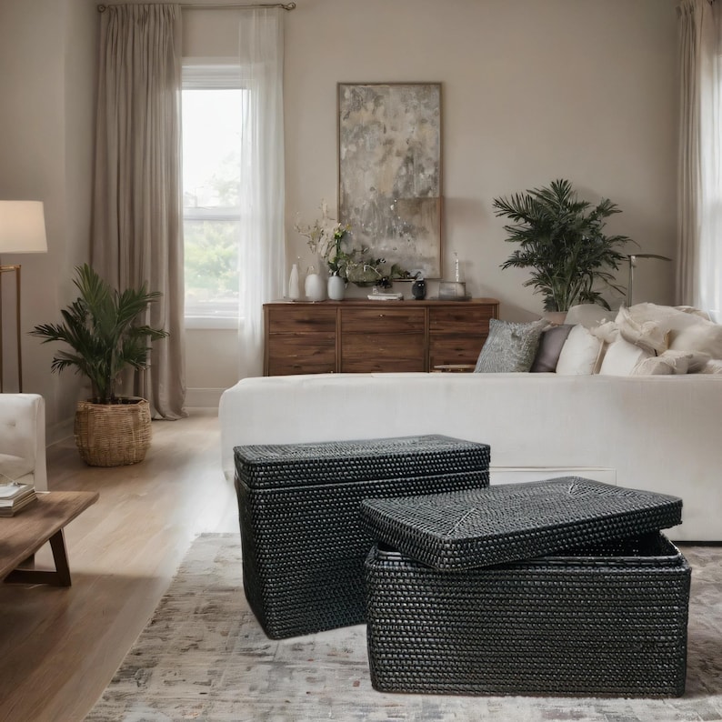 May include: Two black woven storage baskets with lids. The baskets are sitting on a rug in a living room.
