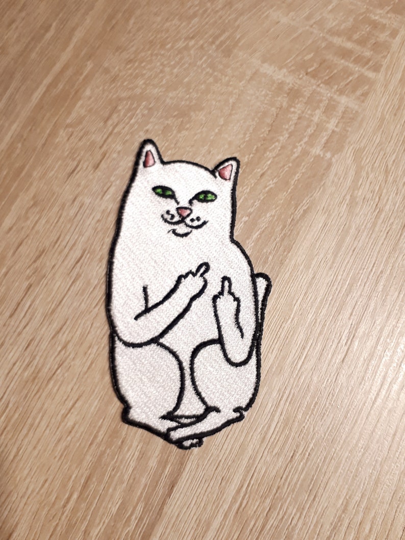 cat pocket middle finger