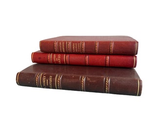 Set of 3 Leather Books 1930s Leather Bound Gold Gilt Books From France, Spain & Columbia
