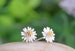 Minimalist UK Daisy Sterling Silver Stud Earrings Gift Boxed 