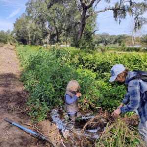 Puede incluir: Escena soleada al aire libre que muestra a una persona y un ni&ntilde;o en un jard&iacute;n. La persona, con camisa a cuadros y sombrero, cuida las plantas. El ni&ntilde;o, con chaleco, est&aacute; cerca. Plantas verdes y una pala con mango azul en primer plano.