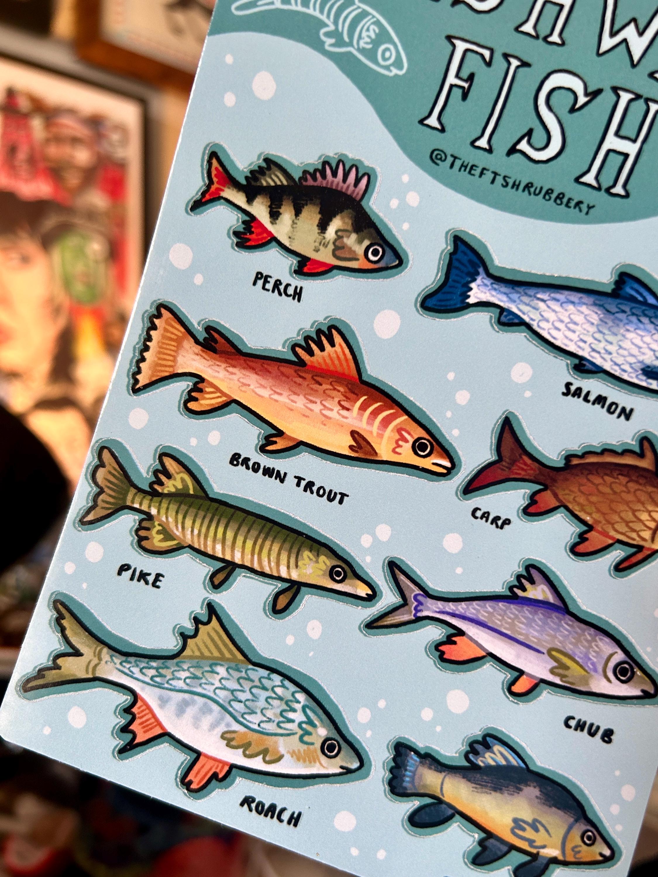 Freshwater Fish A6 Sticker Sheet - Etsy