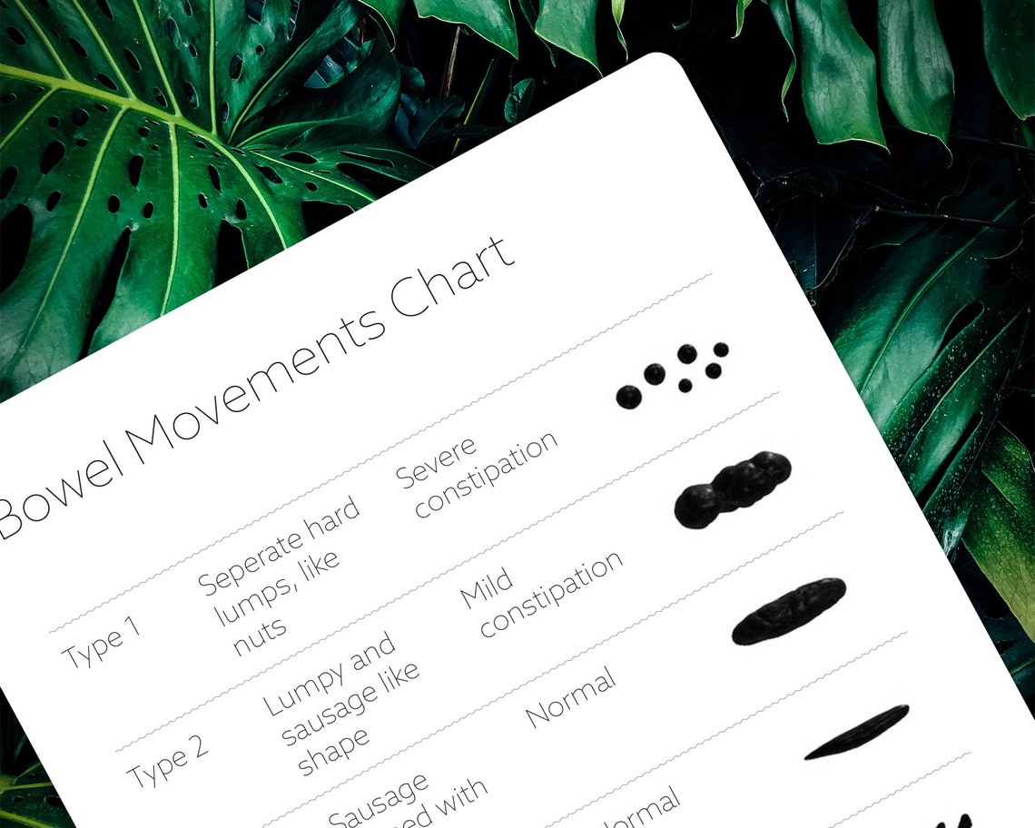 Bowel Movement Chart Bristol Stool Chart IBD Ulcerative | Etsy