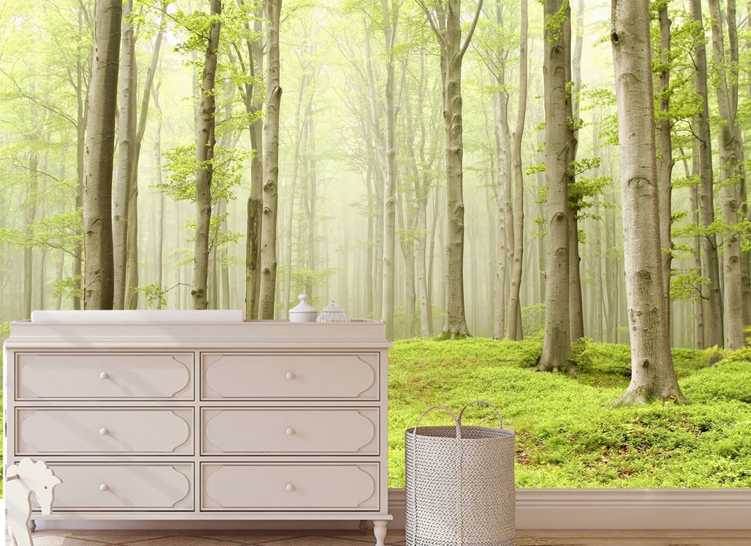 Misty Spring Forest Mural, Large Forests Wall Mural , Nature Forest