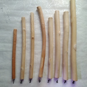 Rowan wood wand without bark. 9&quot;-16&quot;.  3/5 &quot; - 1&quot;.  Magic wand.