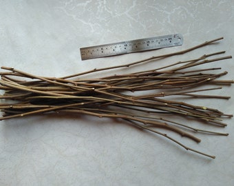 以下が含まれることがあります： 細い茶色の小枝の束と、最大20cmを測る金属製の定規。小枝は長さと太さが異なり、自然で有機的な外観をしています。定規は銀色で、黒い目盛りが付いています。