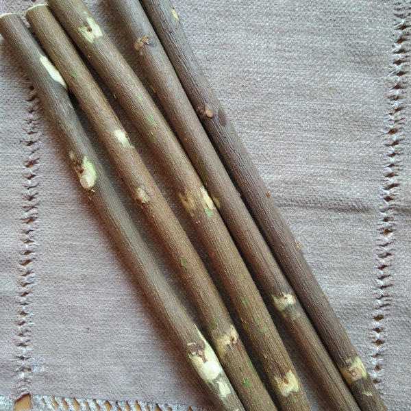 wood wand acacia tree,  Wand Carving Wood Sticks, magic wicca, celtic pagan druid, sacred tree, ritual tool witchcraft,  pagan rituals.