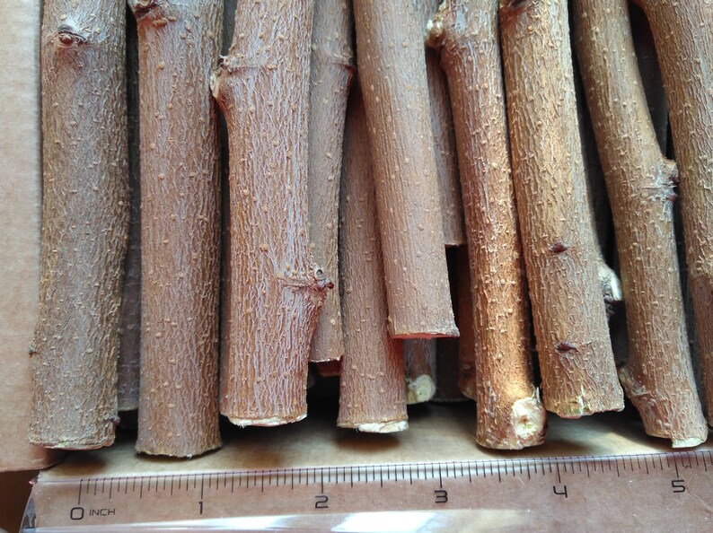 2 lbs Mulberry Wood Chewing Sticks & Twigs For Rabbits Etsy