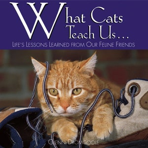 What Cats Teach Us   Hardcover Book