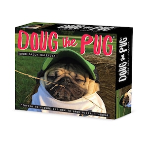 May include: A 2026 daily calendar featuring Doug the Pug. The calendar cover has a photo of Doug wearing a green cap and a white shirt. The text reads "DOUG the PUG" in pink and "TRYING TO FIGURE OUT HOW TO GROW PIZZA." -DOUG.