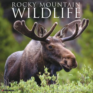 Rocky Mountain Wildlife 2026 12&quot; x 12&quot; Wall Calendar
