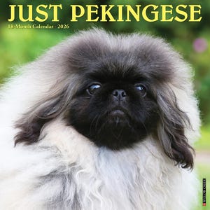 Pekingese 2026 12&quot; x 12&quot; Wall Calendar