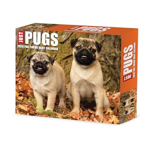 May include: A 2026 full-color daily calendar featuring two adorable pugs. The calendar has an orange border with the words "Just Pugs" and the year printed on it. The pugs are tan with black faces and are sitting in front of a tree.