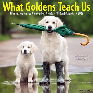 What Goldens Teach Us 2026 12&quot; x 12&quot; Wall Calendar