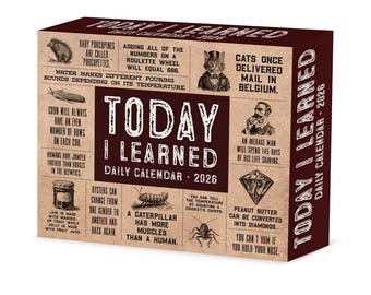 Today I Learned (TIL) 2026 Box Calendar