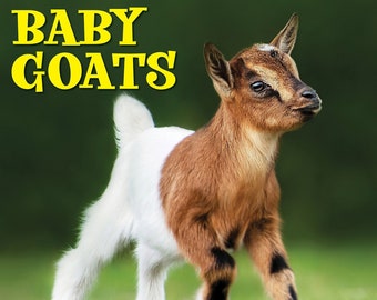 Baby Goats 2024 12" x 12" Wall Calendar