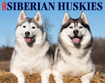 Calendrier Husky 2023 Husky Calendar | Etsy