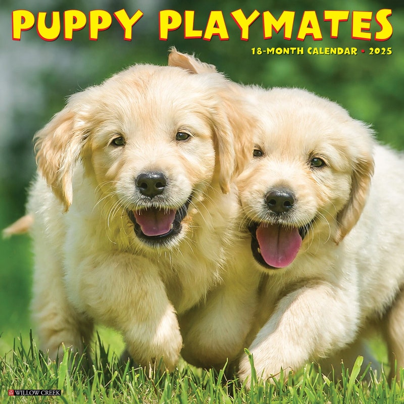 Playmate Calendar Etsy