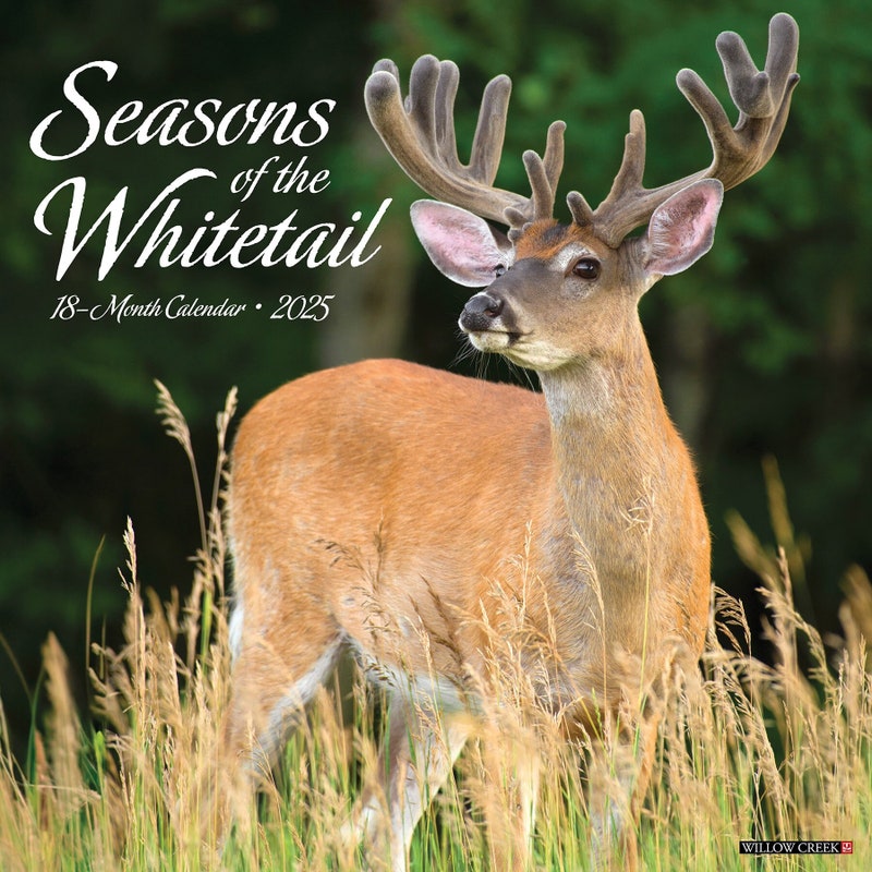 Whitetail Deer Etsy