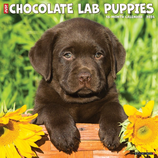 2024 Chocolate Lab - Etsy