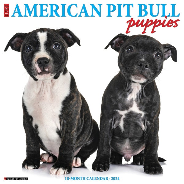 Just American Pit Bull Terrier Puppies 2024 12" x 12" Wall Calendar