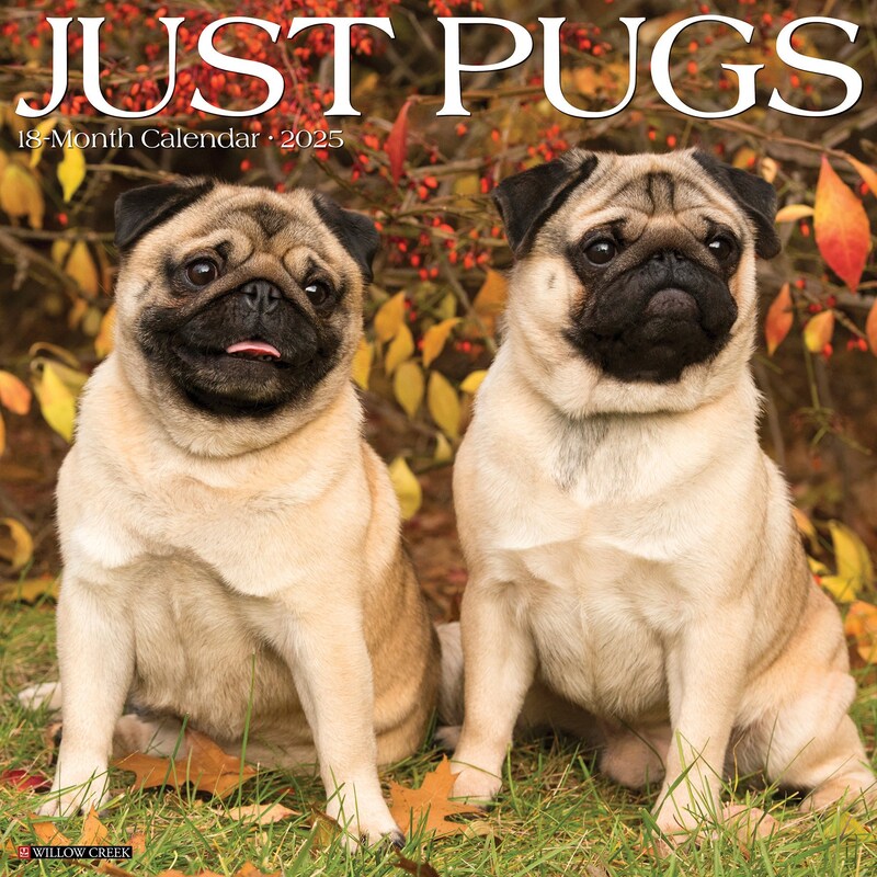 Pug Calendar Etsy
