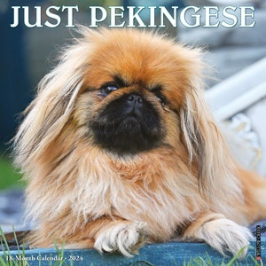 Toy pekingese sales