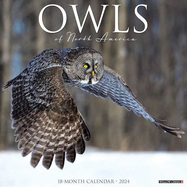 2025 Owl Calendar Etsy