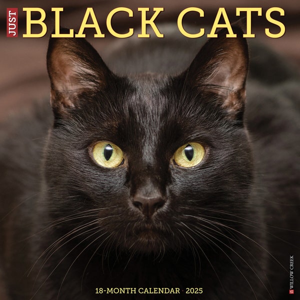 Pissed off Cats Calendar Etsy Pissed off Cats Calendar Etsy