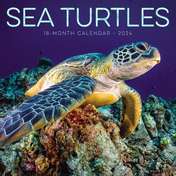 Sea Turtle 2024 Planner Etsy