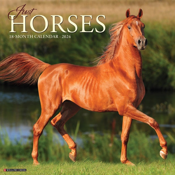 2024 Horses Calendar Etsy