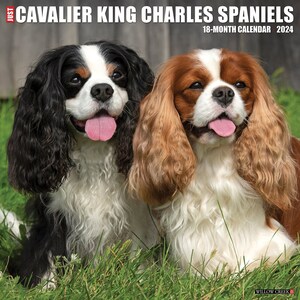 Spaniel Slippers Etsy