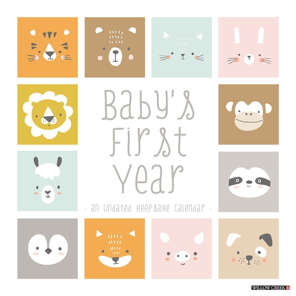 First Year Baby Calendar - Etsy