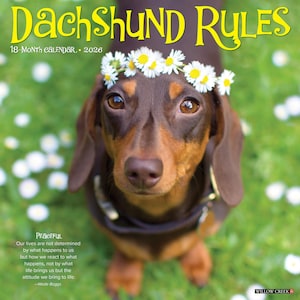 Dachshund Rules 2026 12&quot; x 12&quot; Wall Calendar