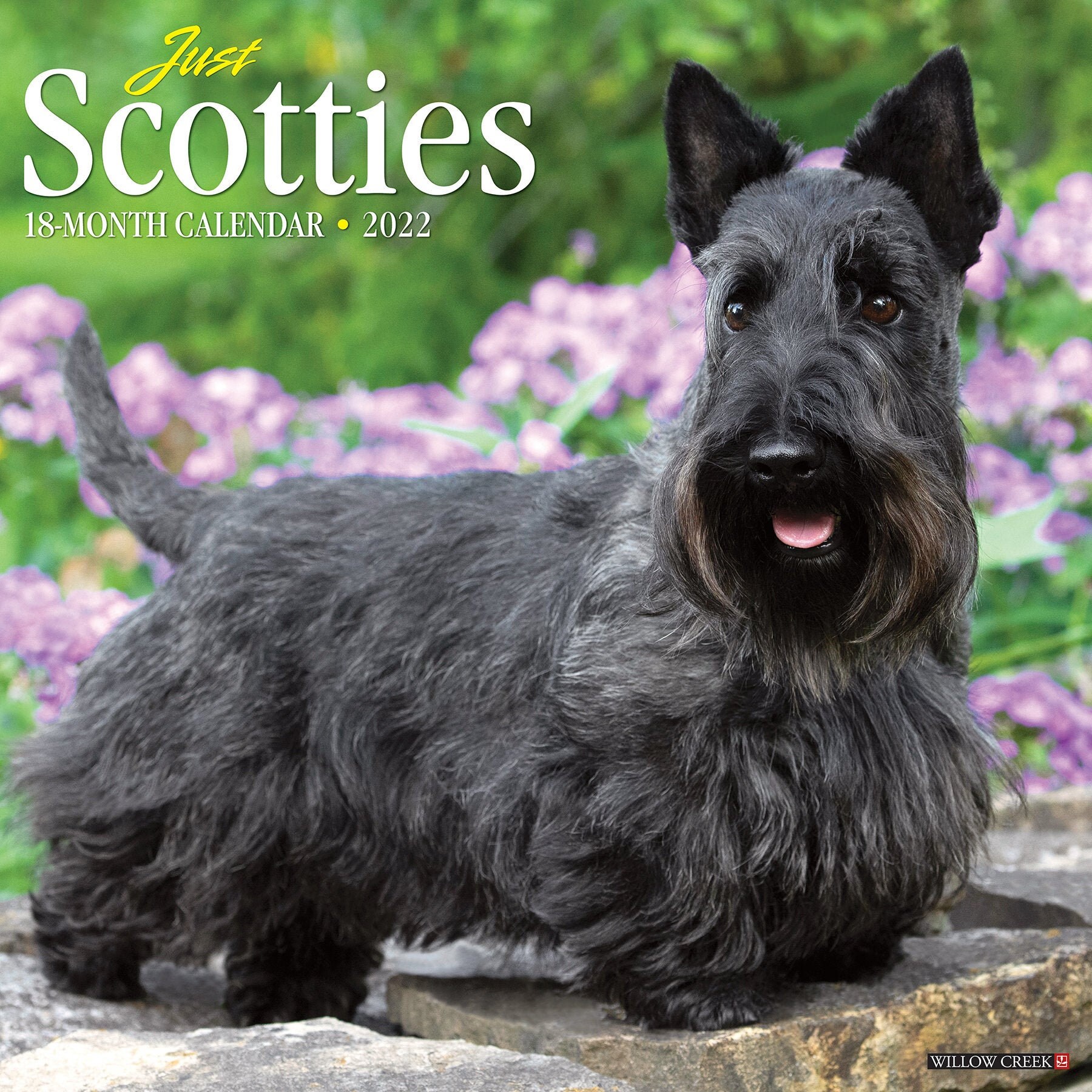 Just Scotties 2022 Wall Calendar Dog Breed Etsy