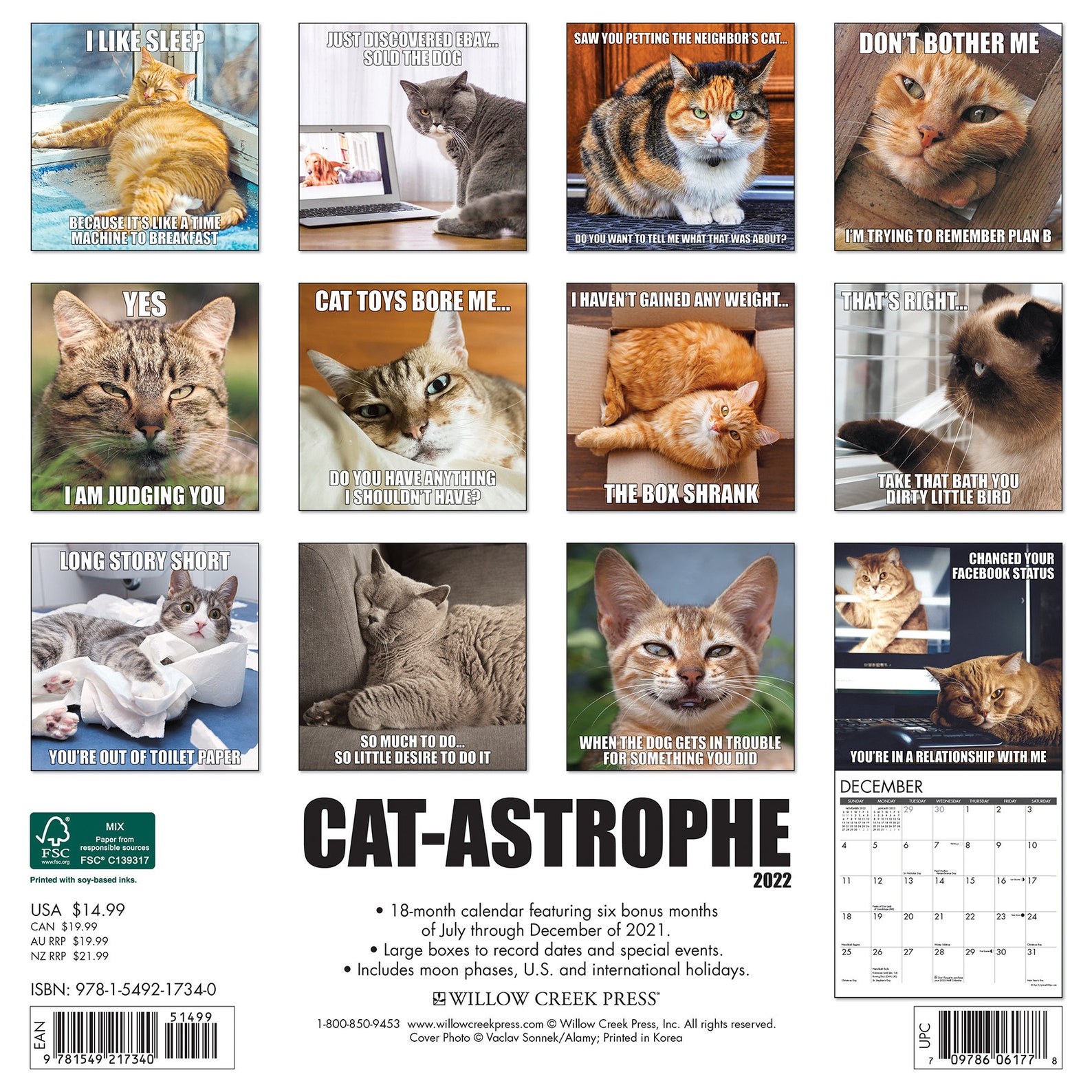 CatAstrophe 2022 Wall Calendar Etsy