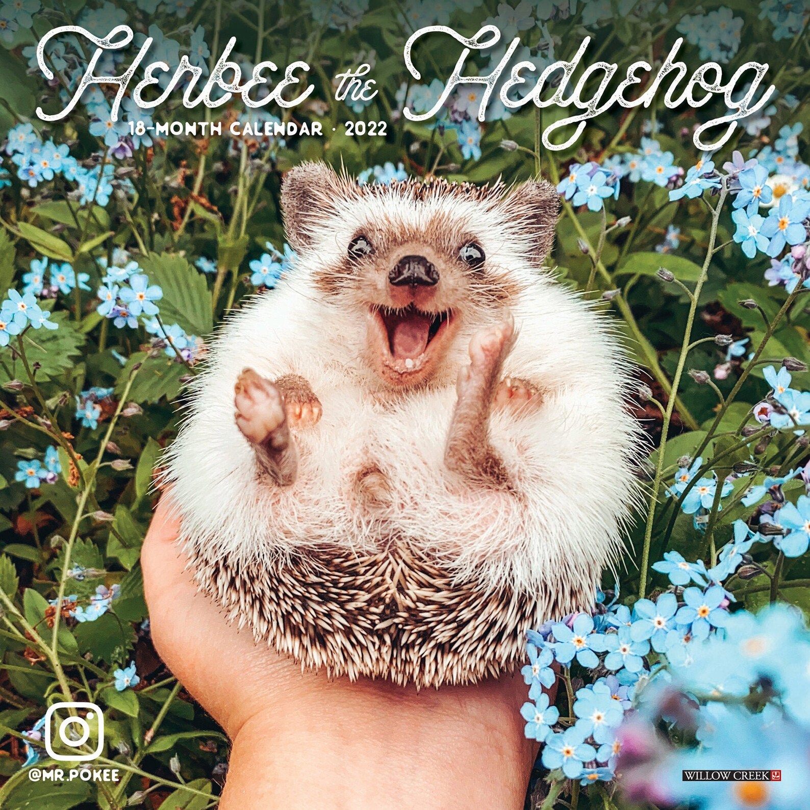 Herbee the Hedgehog 2022 Mini Wall Calendar Etsy
