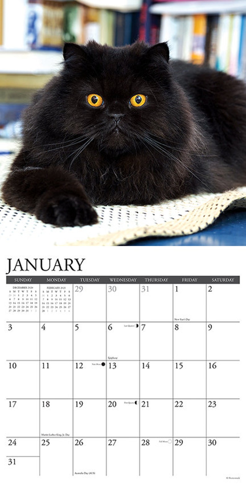 2021 Black Cats Wall Calendar Etsy