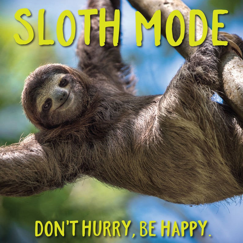 Sloth Mode: Don't Hurry Be Happy Book - Etsy