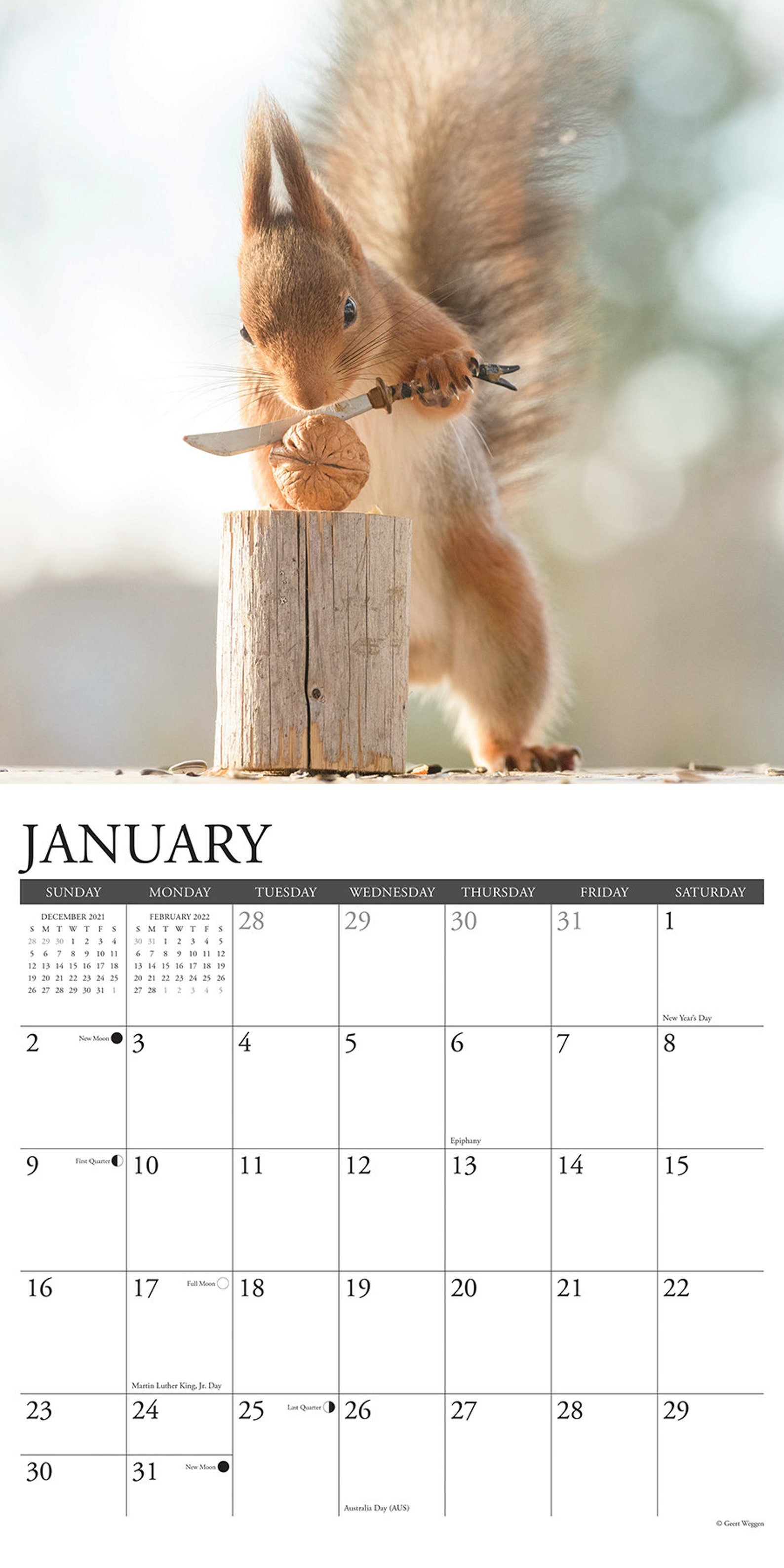 Gettin' Squirrelly 2022 Wall Calendar squirrels Etsy