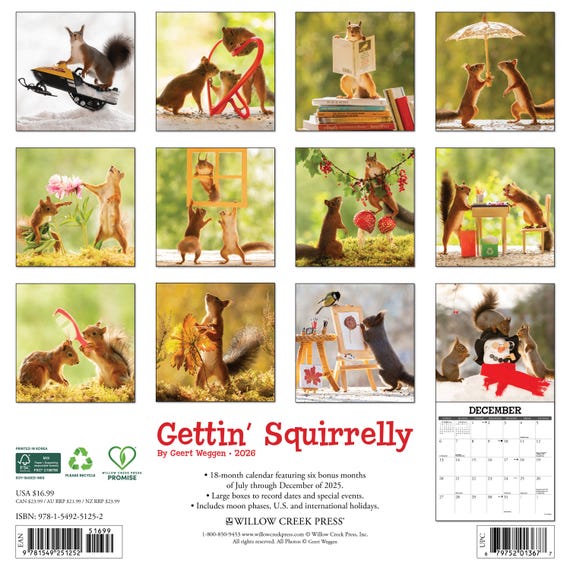 2026 Willow Creek Press Monthly Mini Wall Calendar 7 X 7 Gettin Squirrelly January To December