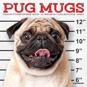 May include: A 2027 18-month calendar titled PUG MUGS GOOD PUGS GONE BAD featuring a fawn pug with a black muzzle and ears. The pug is centered against a white background with black horizontal lines and height markers from 6 to 12 inches.