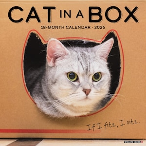 Cat in a Box 2026 12&quot; x 12&quot; Wall Calendar